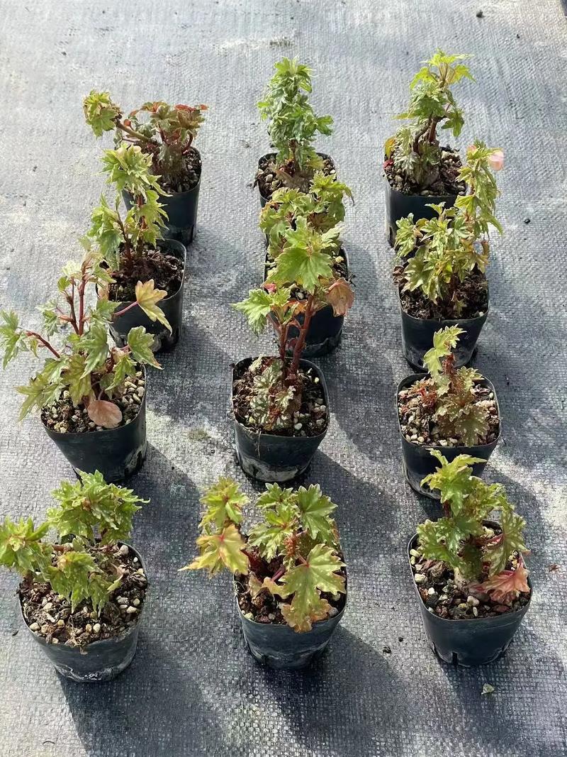 RGB灯效键盘规格细节