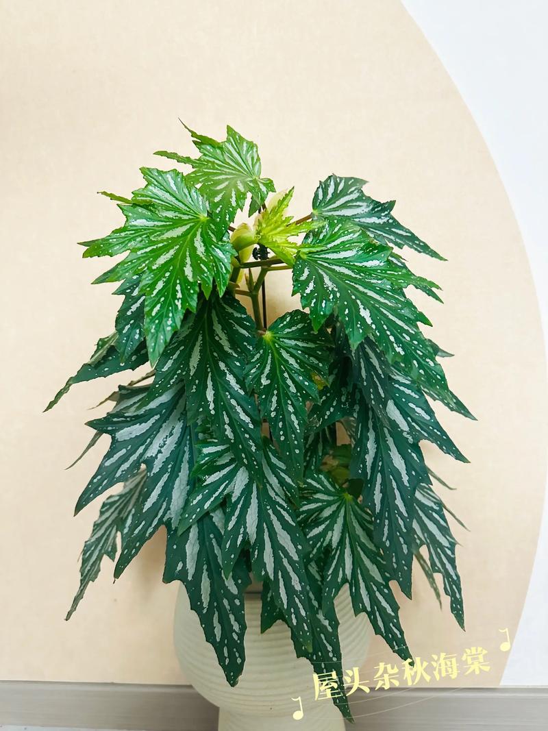 键盘电池与充电细节