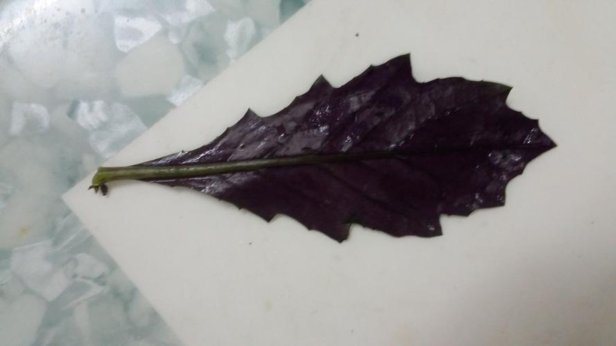 Loving Cool 云脉 黑色正叶 ARGB风扇深度评测：入门级静音散热新选择