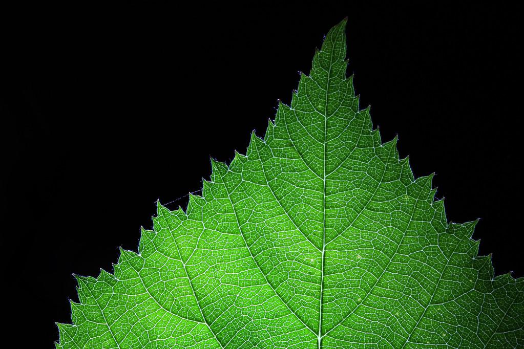 PC风扇购买与搭配