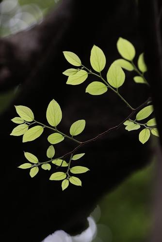 风扇性能运行状态