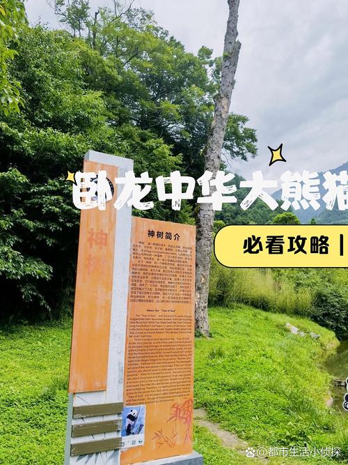 几度卧龙显卡散热器评测：49元入门风冷神器 老卡焕新利器