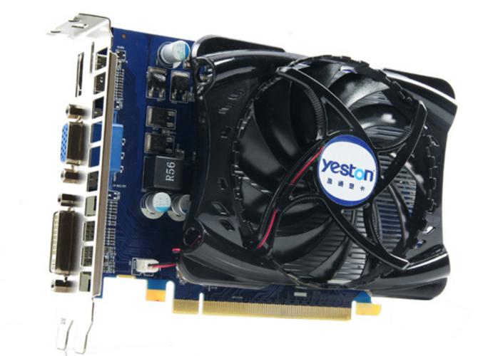 Computer hardware GPU installation in case