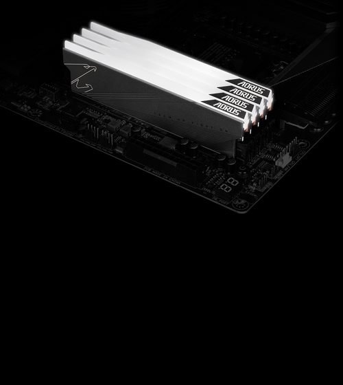 DDR5内存模块特写