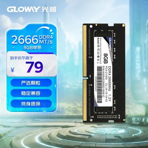 光威战将 8GB DDR4 2666深度评测：入门级内存性价比之选