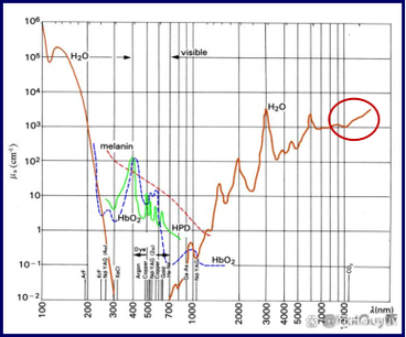 价格与性价比分析图表