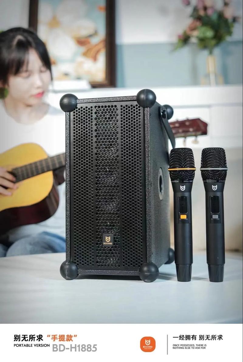 音响单元和功率规格示意图