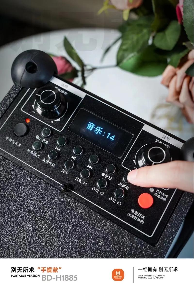 蓝牙和音频接口连接示例