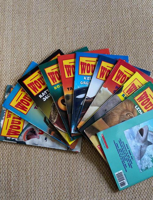 用户选购电脑硬件场景