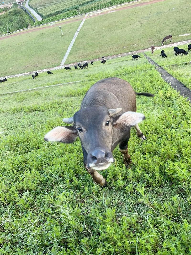 PC机箱整体购买建议展示