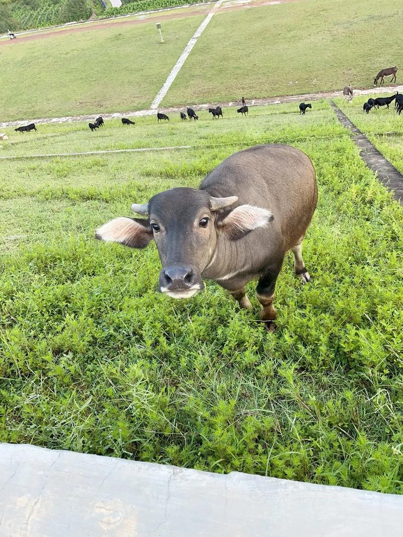 预算电脑机箱购买场景