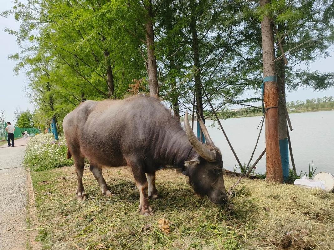 电脑主机内部组件布局
