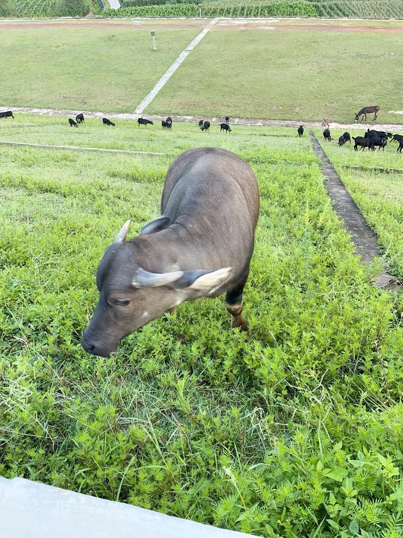 电脑机箱通风散热细节
