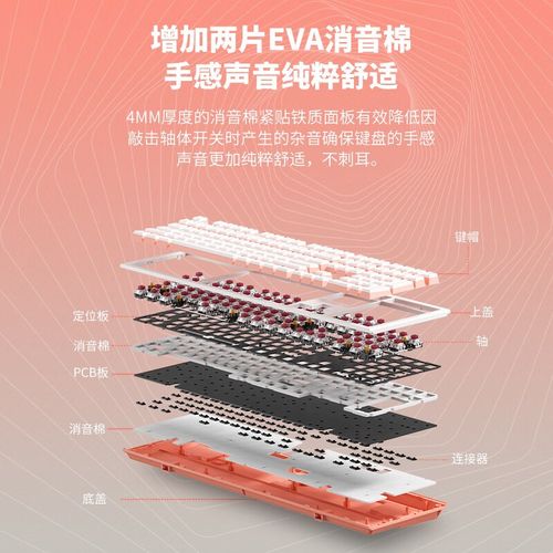 键盘连接接口和轴体展示