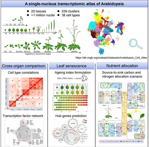 用户场景选择示意图