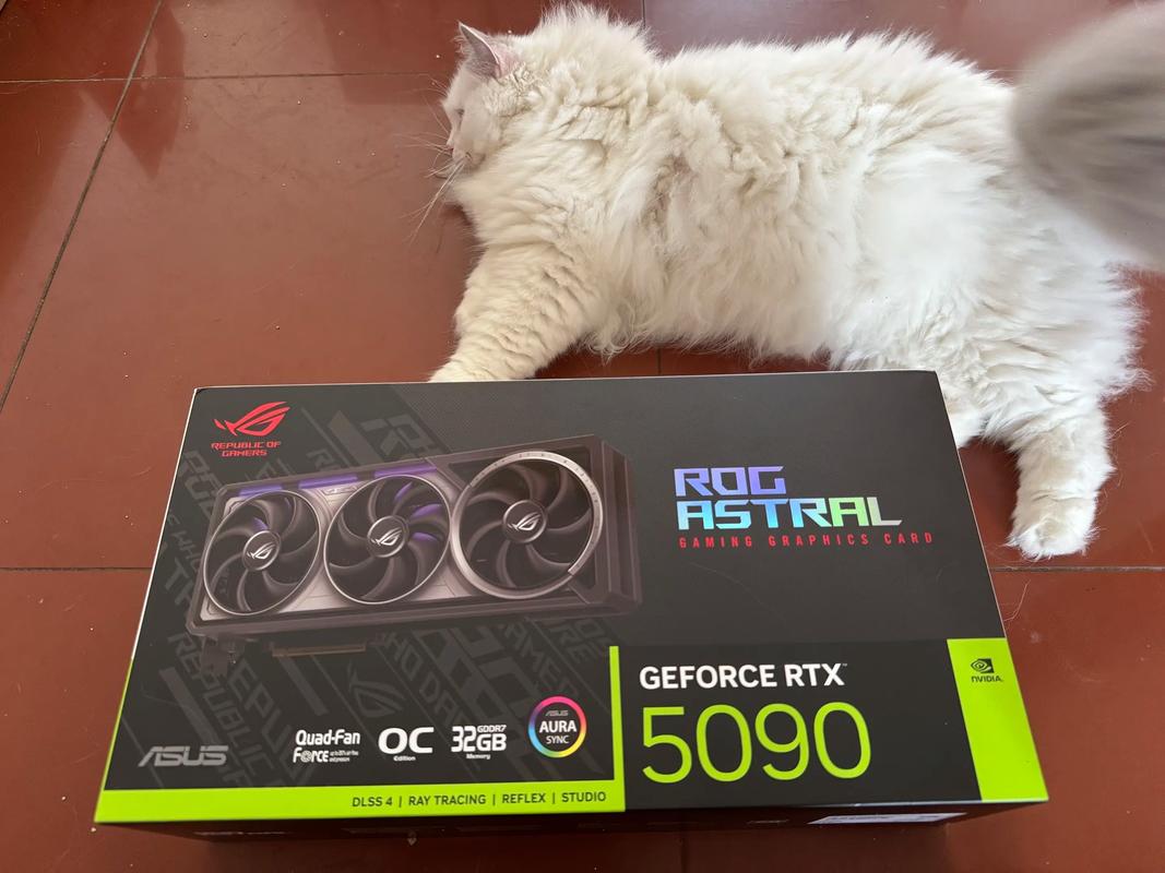 玩家选购显卡场景