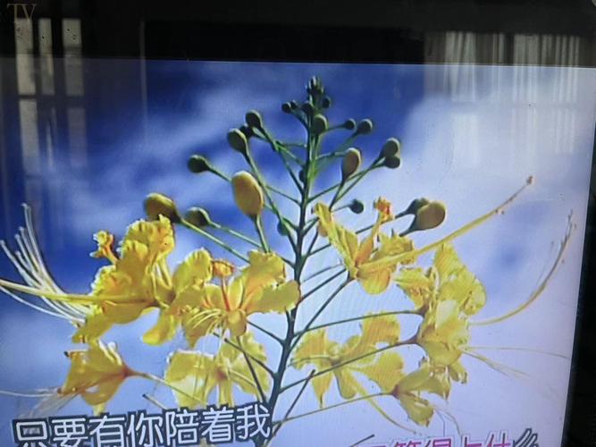 选购建议场景图