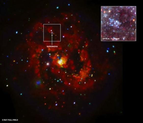 先马M83 vs 星宇泉小麻雀2代8222 深度对比