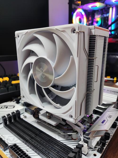 价格与性价比分析图表