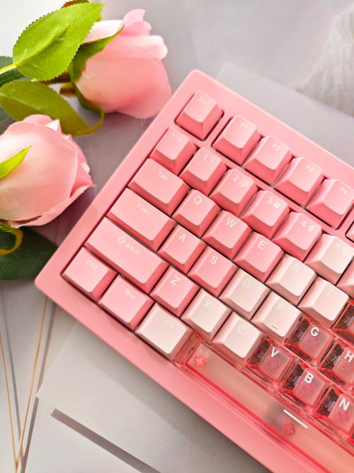 键盘电池和充电接口