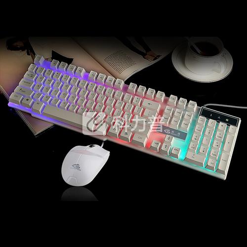 鼠标侧视图展示对称设计