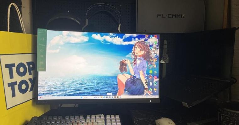 设计软件在显示器上运行