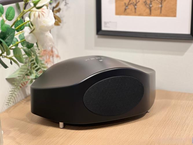 音箱性能测试场景