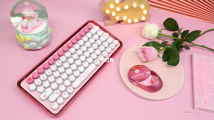 购买建议和性价比分析