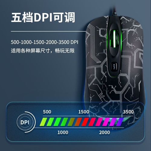 选购建议与用户场景