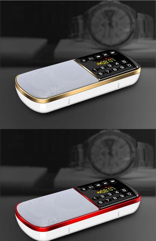 科凌S8户外便携音箱评测：花梨木纹设计，多功能蓝牙音箱，百元价位性价比之选