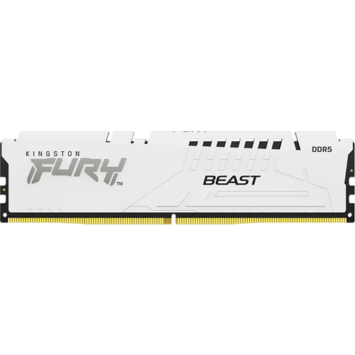 金士顿FURY Beast 64GB DDR5 6000 vs 金士顿环保条 2GB DDR3 1333 深度对比