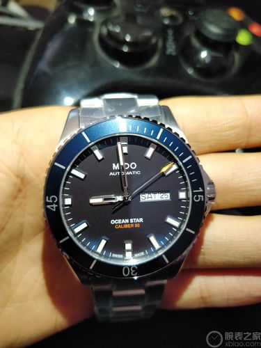 价格与性价比分析