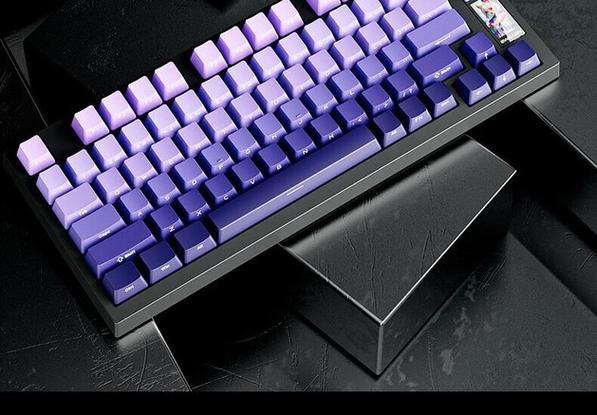 前行者X75 vs 尔也富RFK-613 深度对比