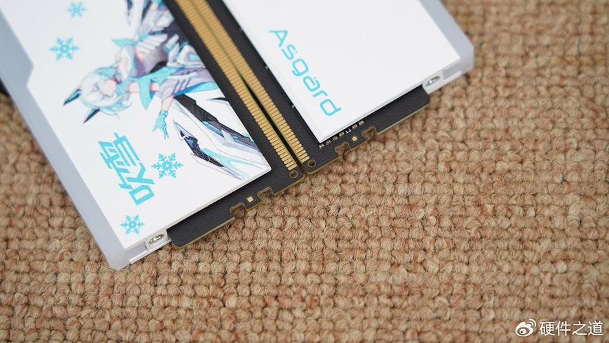 内存散热片和温度监测