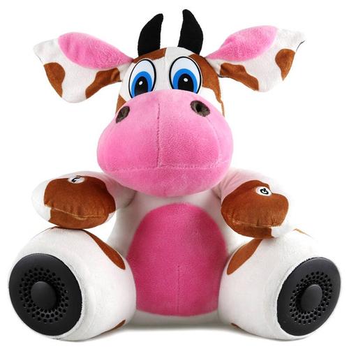 音箱内部组件概览