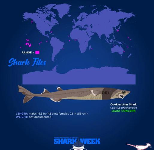 RGB背光键盘细节