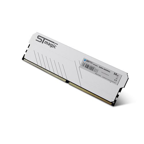 内存条安装在主板上，展示整体布局