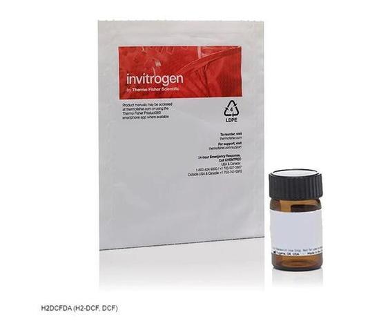 bocoice InvaX 评测：品质音箱新选择，音质与设计的平衡之作