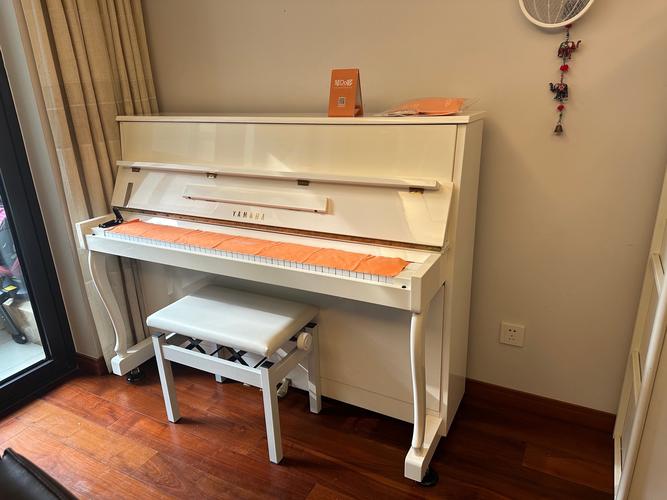 价格与性价比分析图表