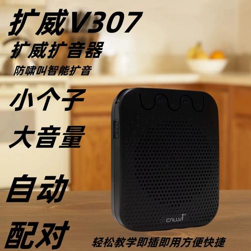 扩威V-307（无线版）深度评测：便携户外音箱，音质与续航的完美平衡