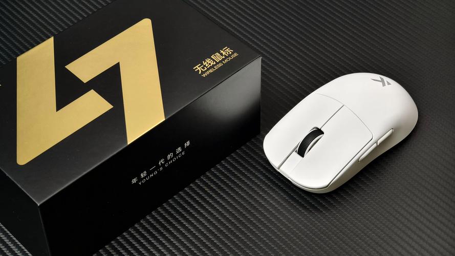 Mouse purchase recommendation