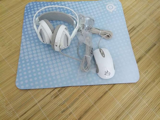 Gaming Mouse Performance