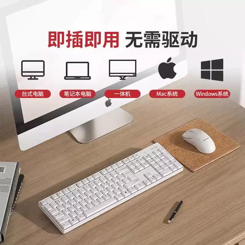 优派CW1260套装包装