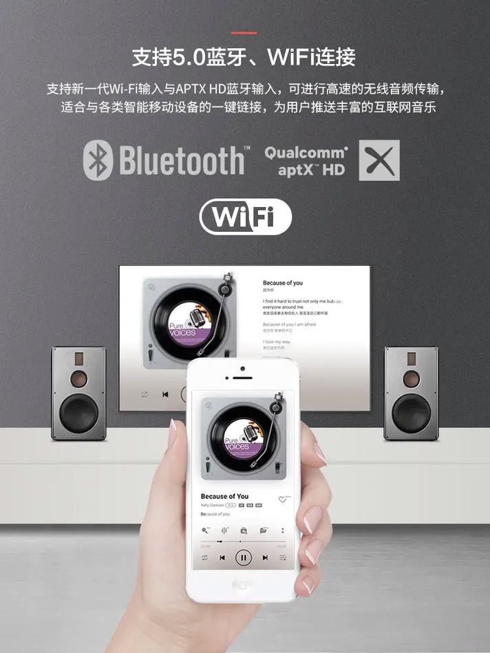 惠威H6音箱单元特写