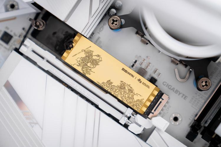 PCIe 5.0接口示意