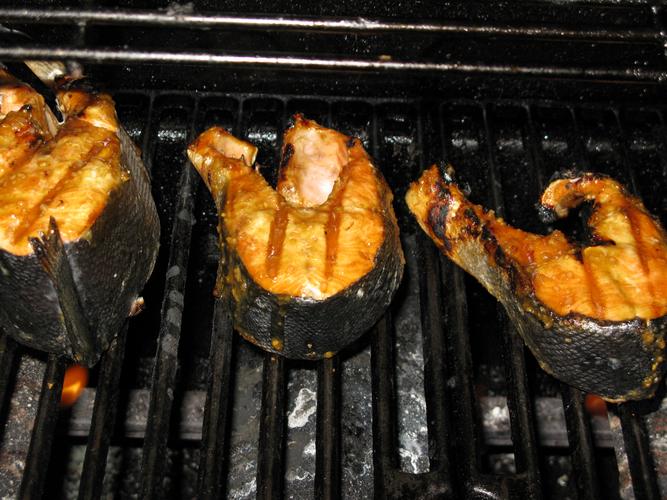 GRIS GEE0162824 购买建议