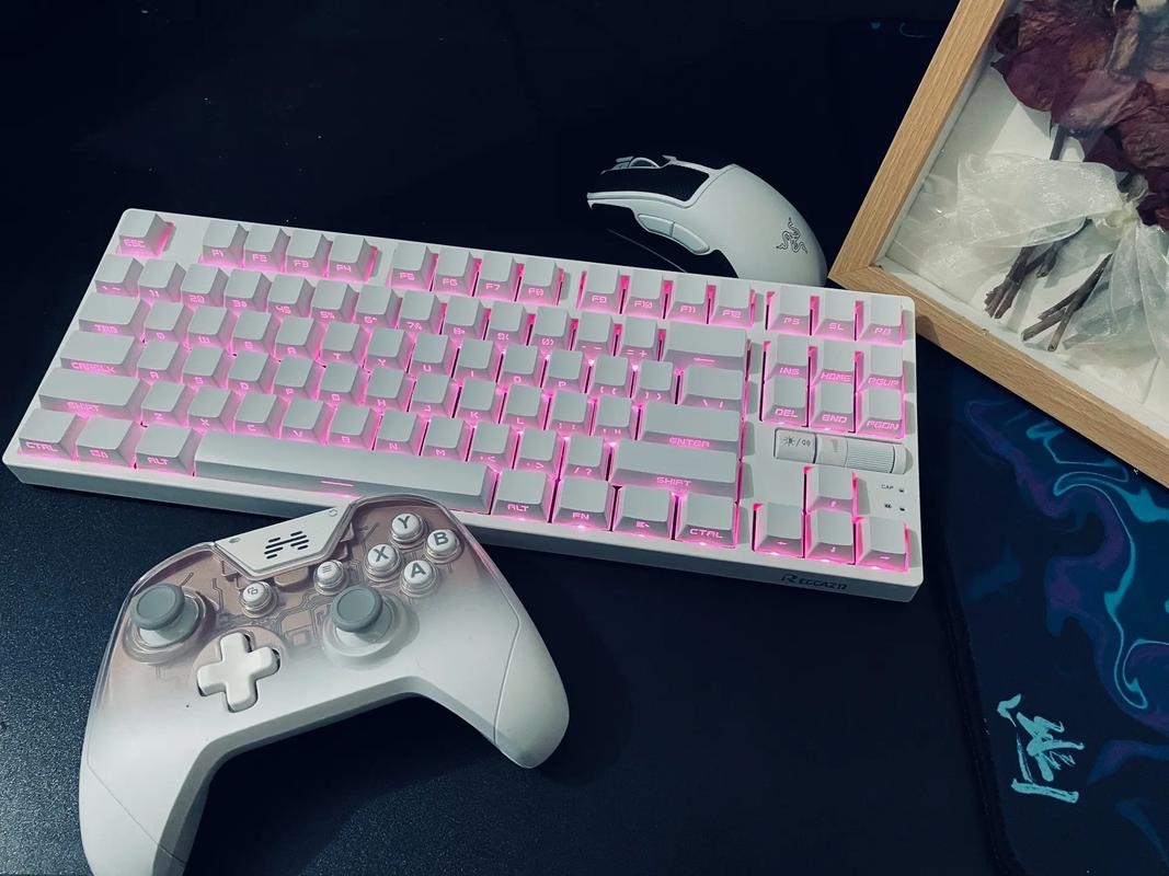 reccazr R98Pro 整体展示
