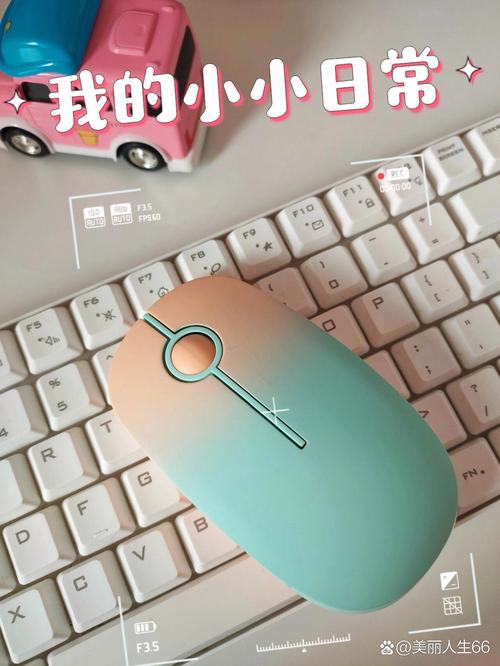 鼠标电池仓