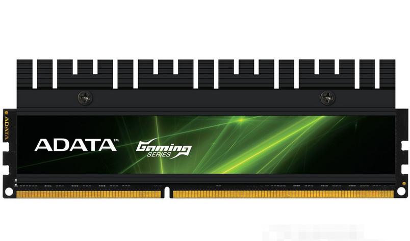 Close-up of computer memory chip with pins