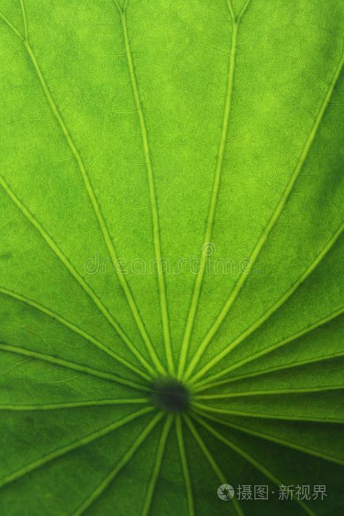 购物建议示意图